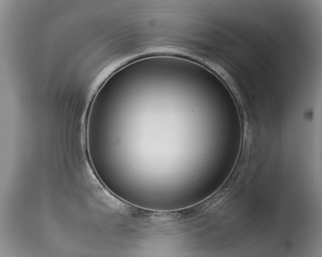 X0000113621199200909251159