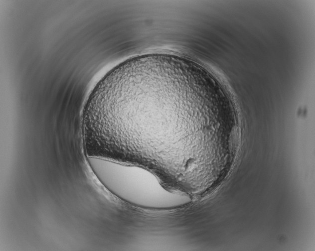 X0000113621200200909251159