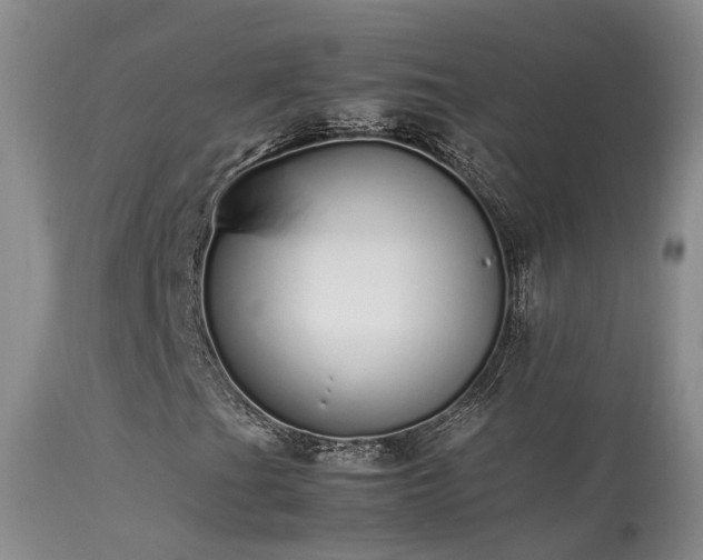 X0000113621201200909251158