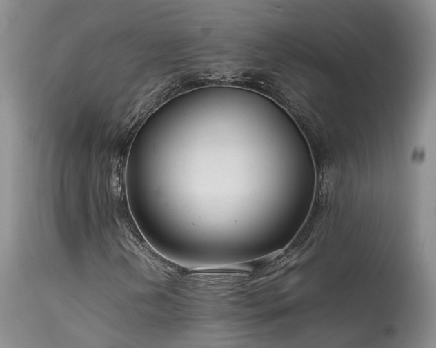 X0000113621202200909251158