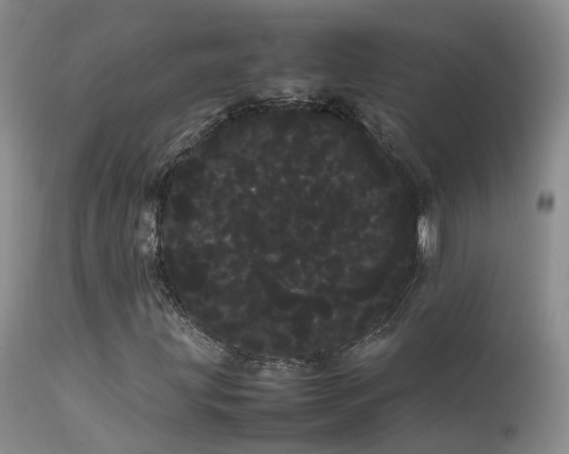 X0000113621203200909251158