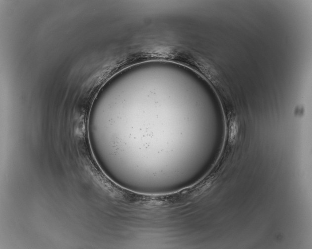 X0000113621204200909251158