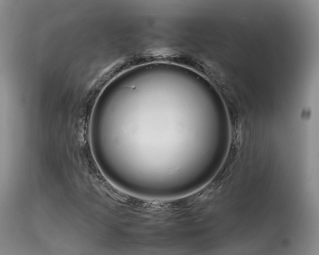 X0000113621205200909251158