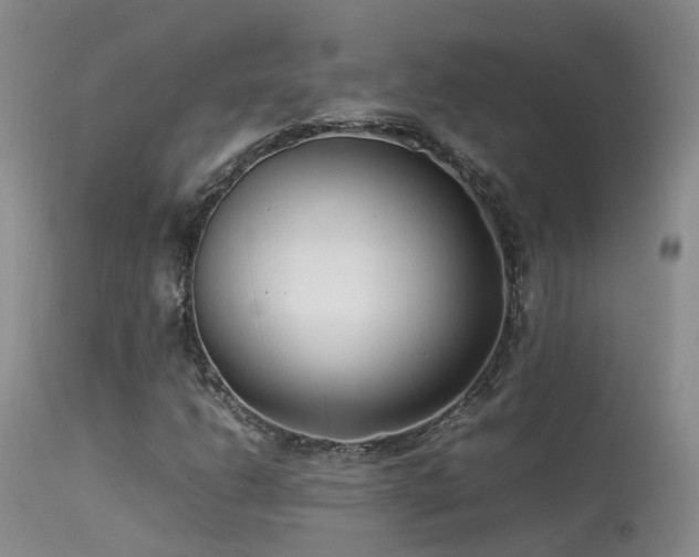 X0000113621206200909251158