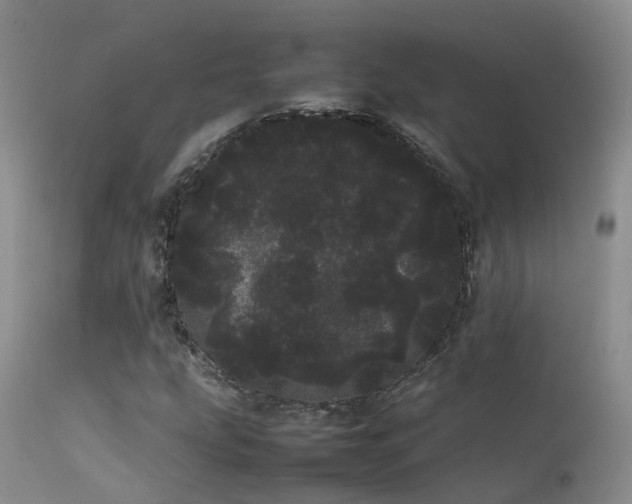 X0000113621207200909251158