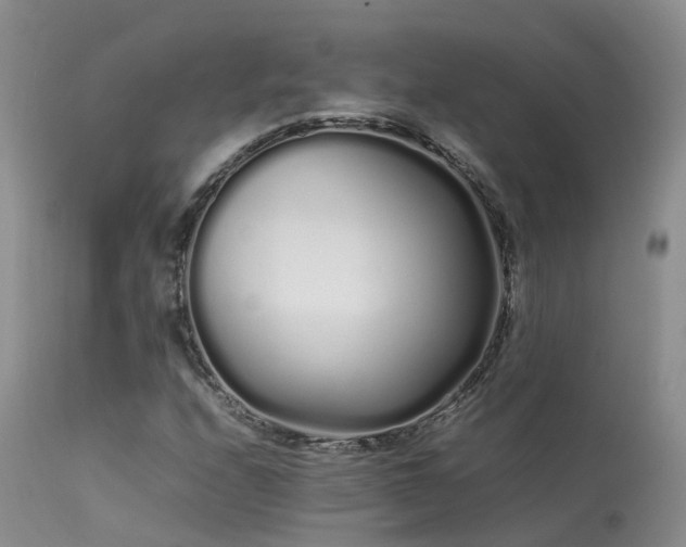 X0000113621208200909251158