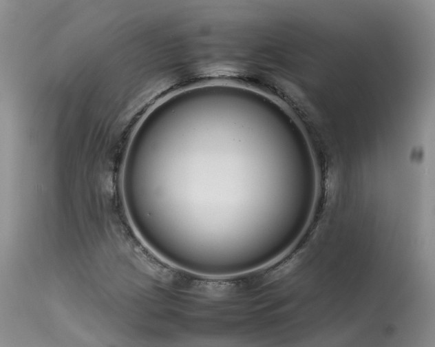 X0000113621209200909251158