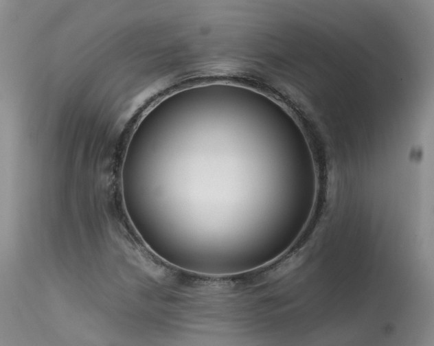 X0000113621210200909251158