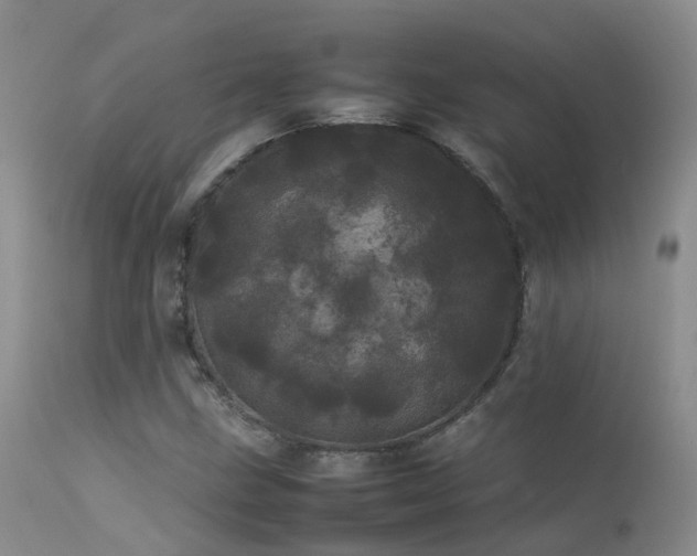 X0000113621211200909251158