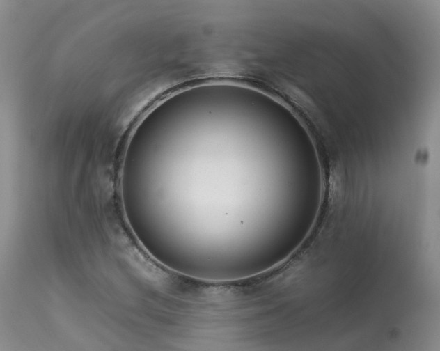 X0000113621212200909251158