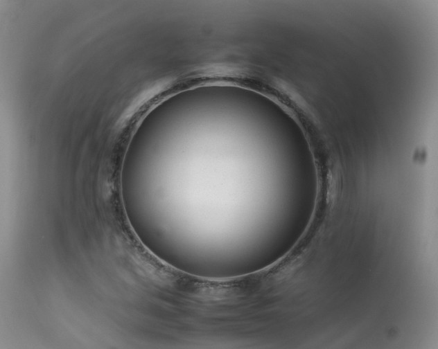 X0000113621213200909251158