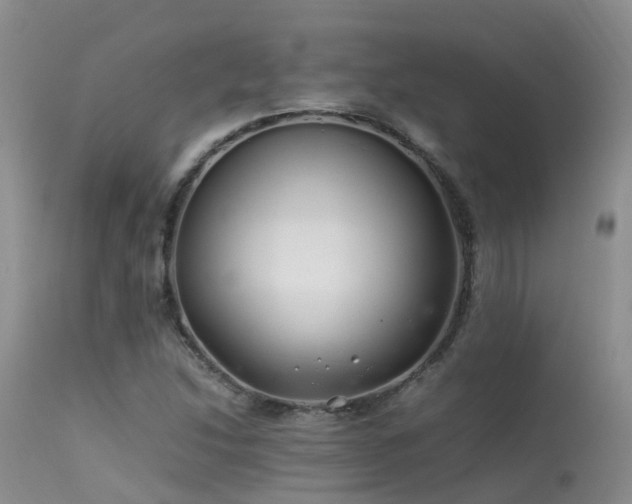 X0000113621214200909251158