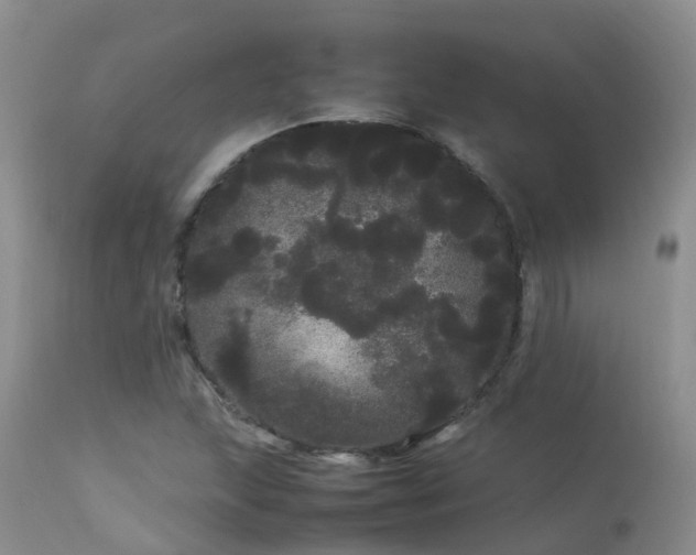 X0000113621215200909251158