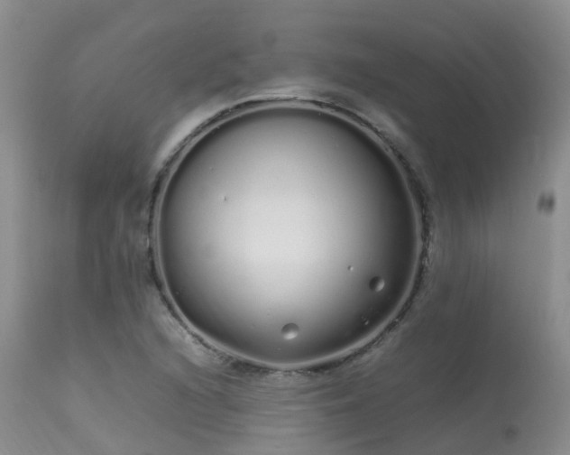 X0000113621216200909251158