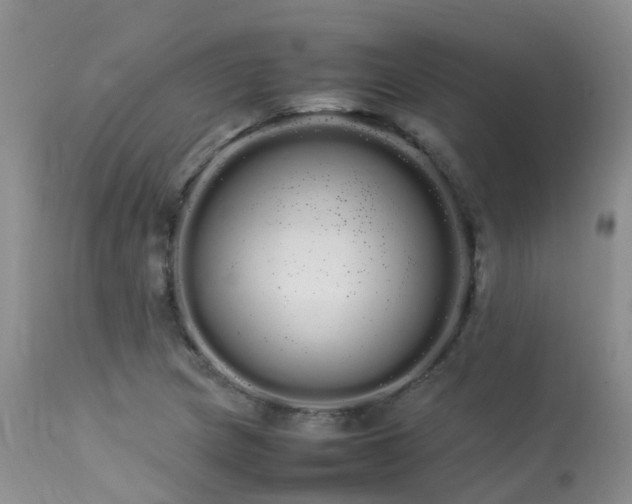 X0000113621217200909251158