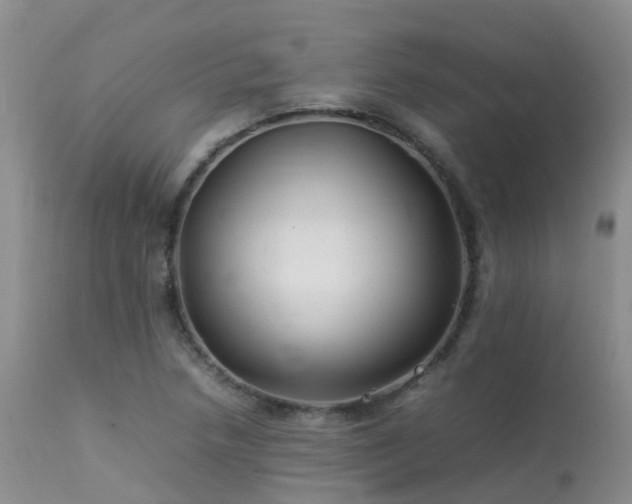 X0000113621218200909251158