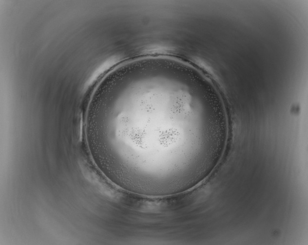 X0000113621219200909251158