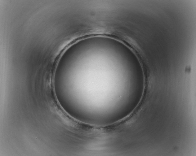 X0000113621220200909251158