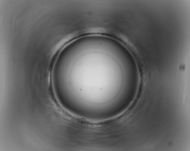 X0000113621221200909251158