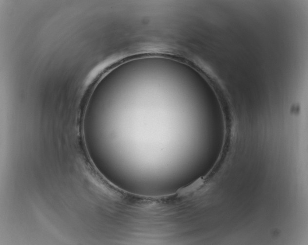 X0000113621222200909251158