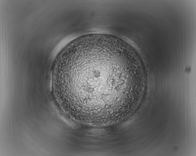 X0000113621223200909251158