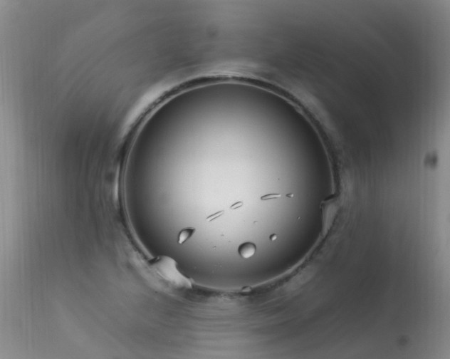 X0000113621224200909251158