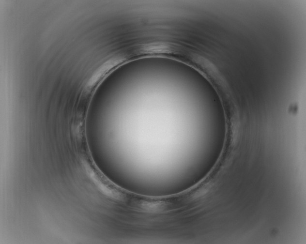 X0000113621225200909251158