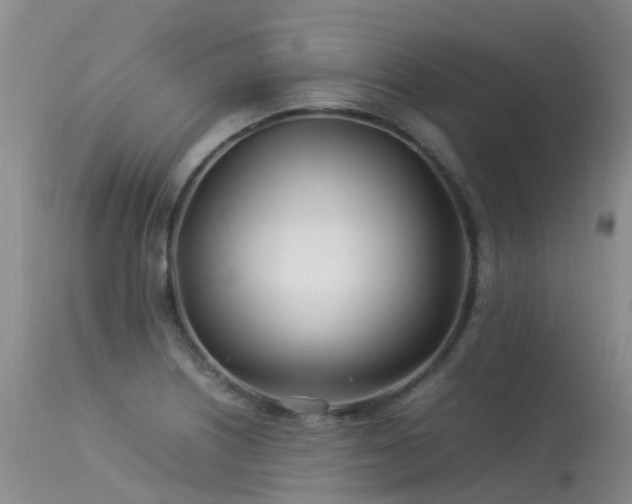 X0000113621226200909251158