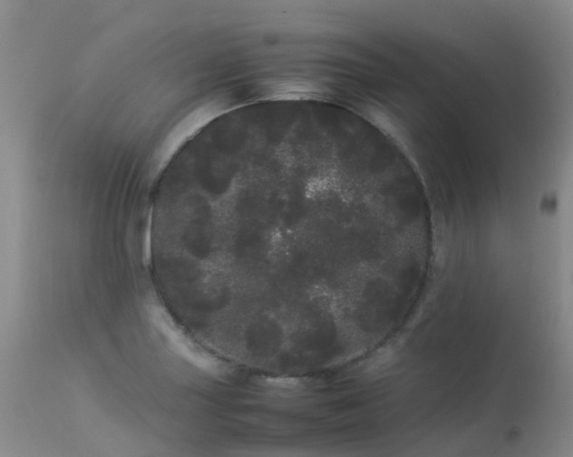 X0000113621227200909251158