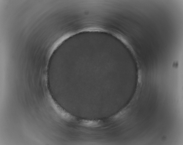 X0000113621229200909251158