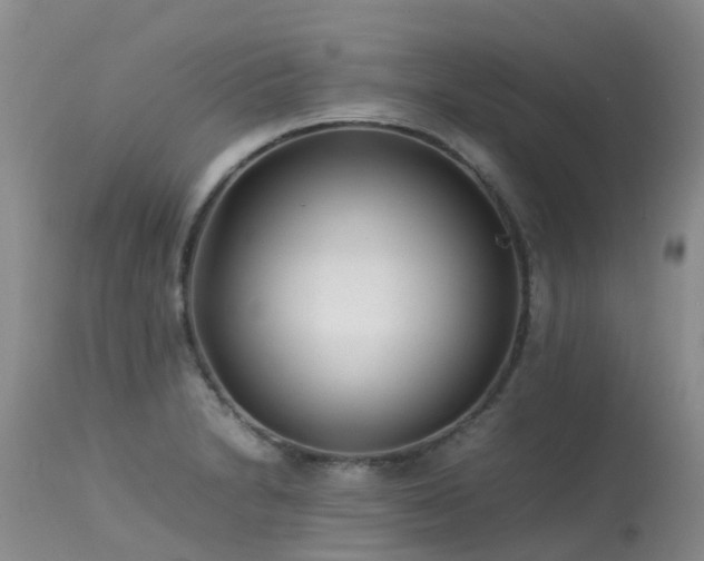 X0000113621230200909251158