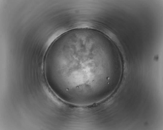 X0000113621234200909251158