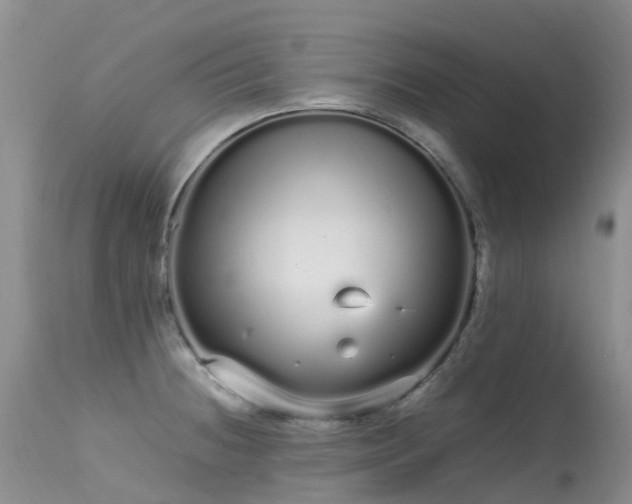 X0000113621236200909251158