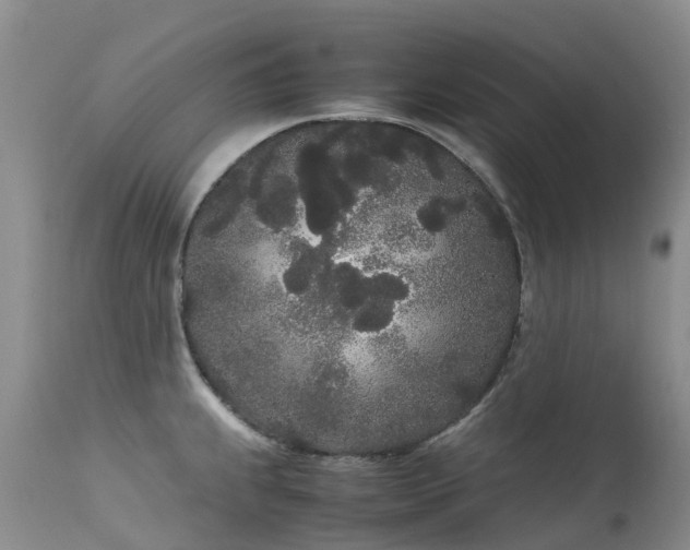 X0000113621239200909251159