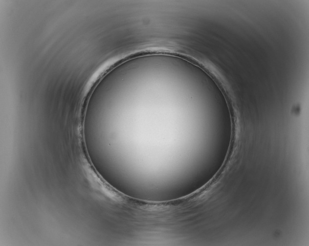 X0000113621240200909251159