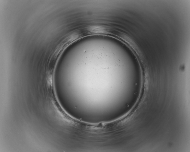 X0000113621241200909251159