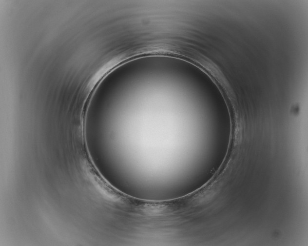 X0000113621242200909251159