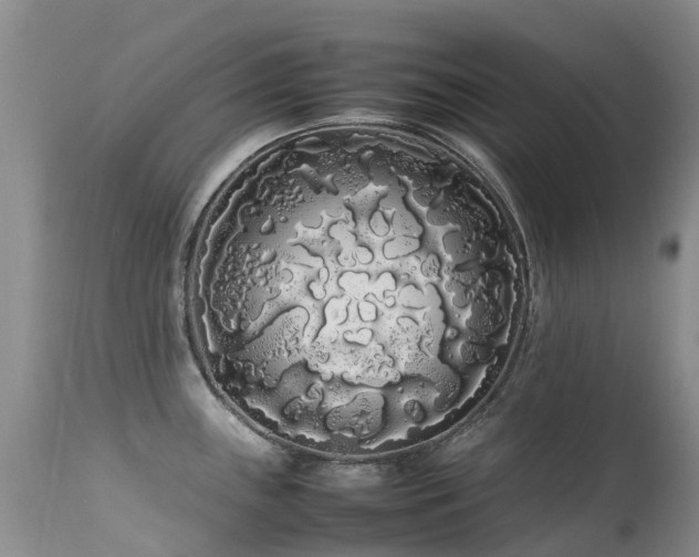 X0000113621243200909251159