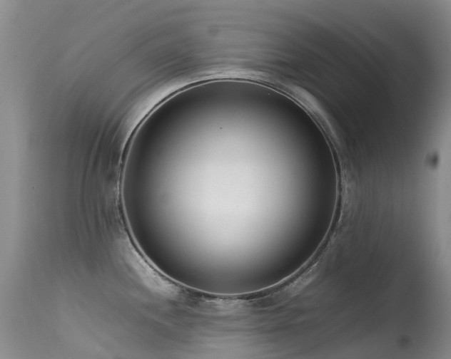 X0000113621244200909251159