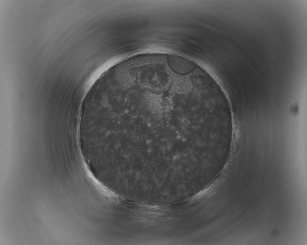 X0000113621245200909251159