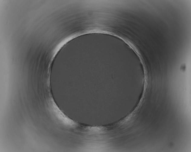 X0000113621246200909251159