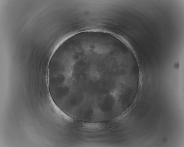 X0000113621247200909251159