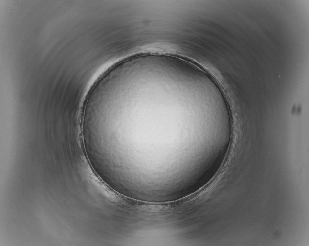 X0000113621248200909251159