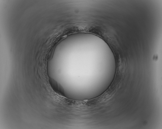 X0000113621249200909251158