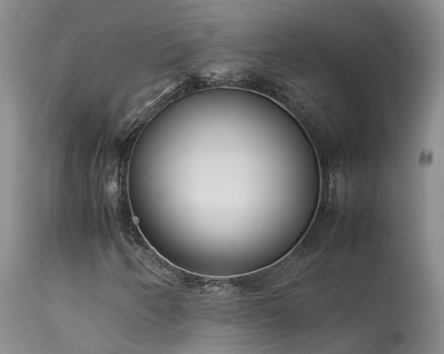 X0000113621250200909251158