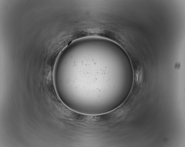 X0000113621251200909251158