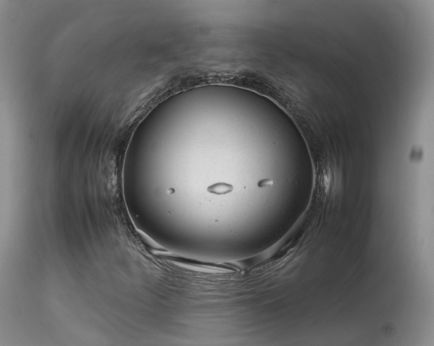 X0000113621252200909251158