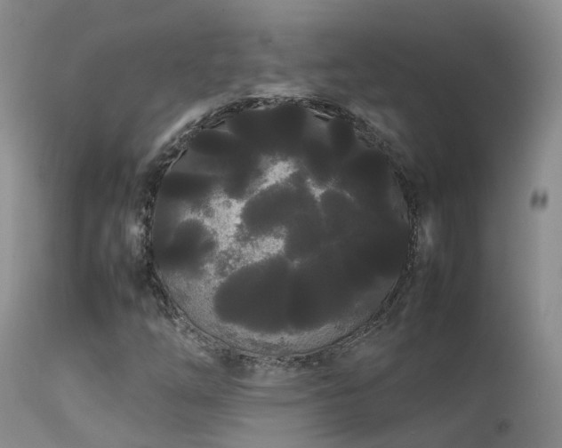 X0000113621254200909251158