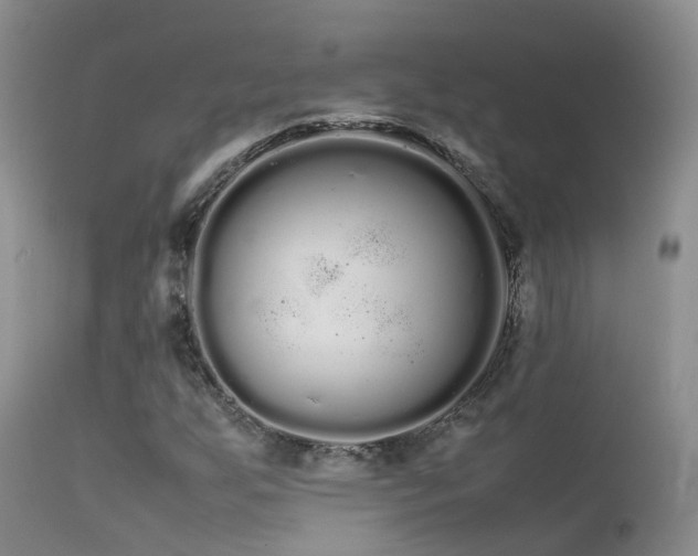 X0000113621255200909251158