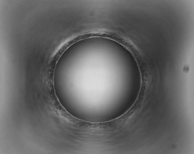 X0000113621256200909251158